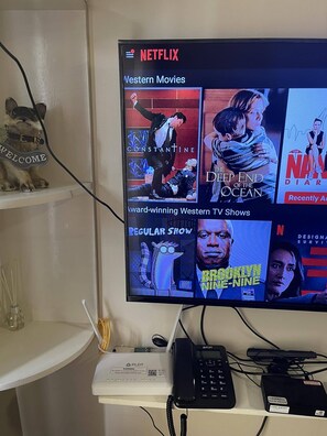 Television