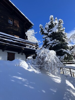 Exteriör