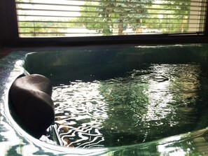 Indoor spa tub