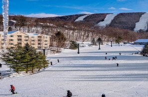 Sne- og skisport