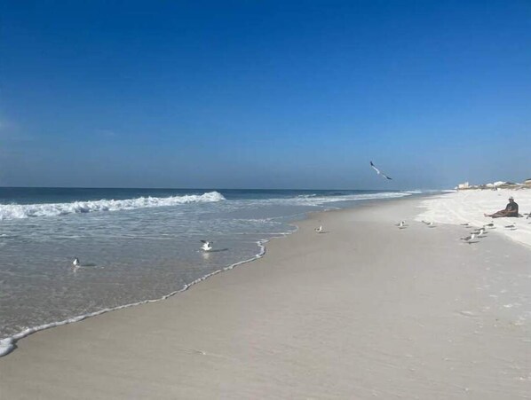 Strand