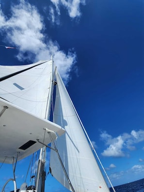 Serenity under sail