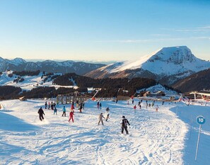 Snow and ski sports