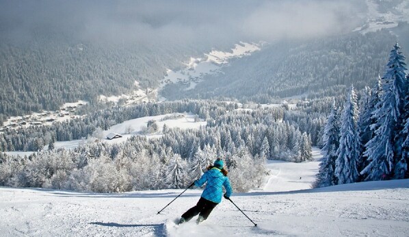 Sneeuw- en skisporten