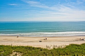 Beach View
