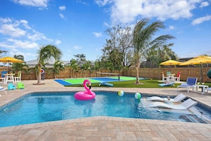 Our Flamingo Wants to Play!