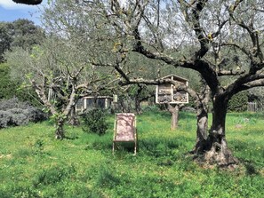 Jardines del alojamiento