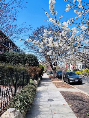 Street view looking west.