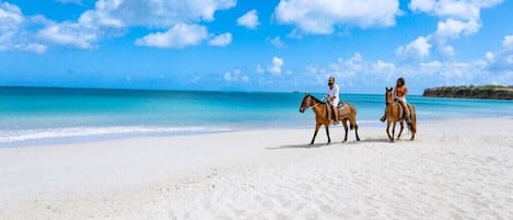 The beautiful Caribbean sea is just a stone's throw away for relaxation & fun.