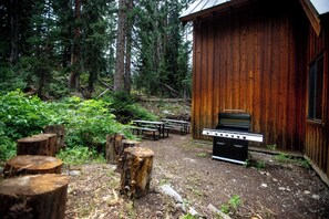 Grill and log seating