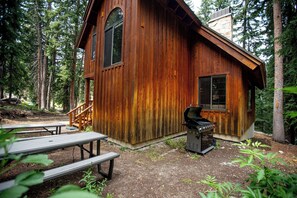 Grill and Picnic area