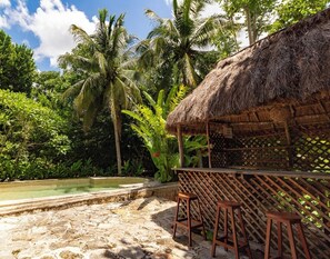 Pool and bar area