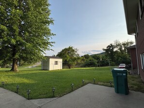 Backyard