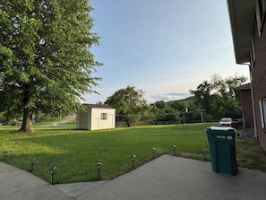 Backyard