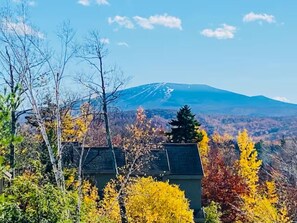 Fantastic Fall foliage.