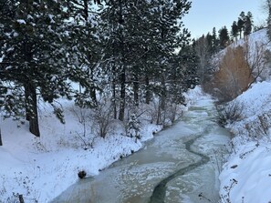 Whitewood Creek runs through the property.