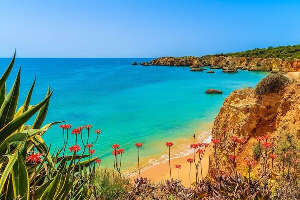 Die Praia da Rocha. Ganz in der Nähe