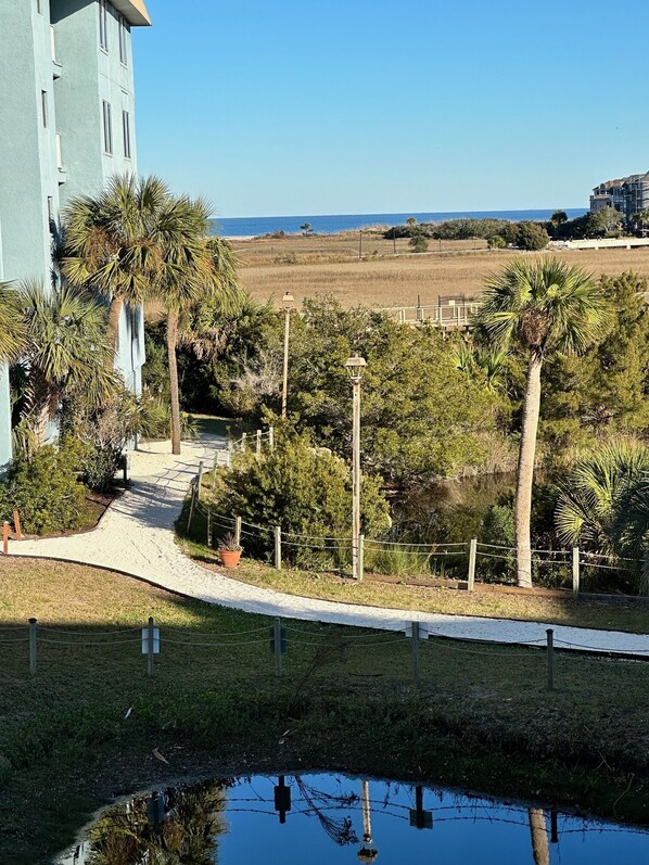 Another view from the balcony