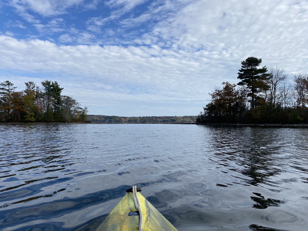 Main Image