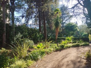 Property grounds