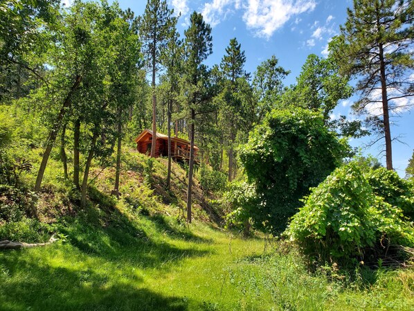 Ulkopuoli