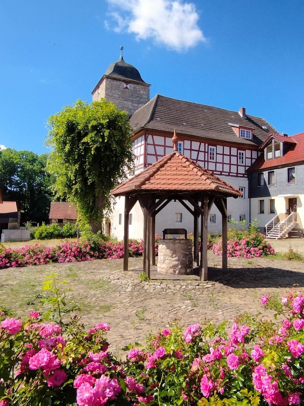 Terrain de l’hébergement 