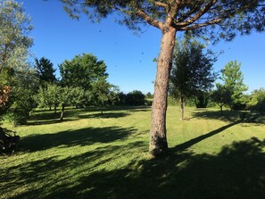 Property grounds