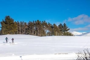 Endless cc skiing/snowshoeing opporunity right out your front door!