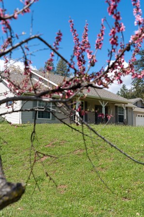 Exterior Landscape