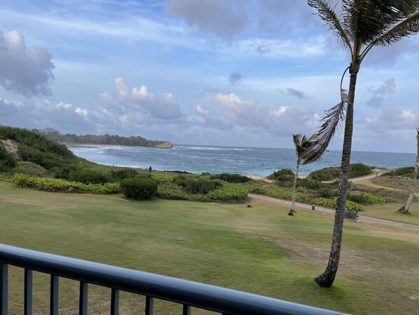 Potential view from oceanfront unit