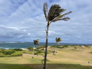 Potential view from oceanfront unit