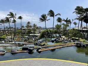 Point at Poipu daytime photo of the ponds and grounds.