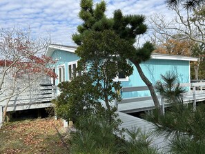 Property Grounds.  House insulated and fully renovated with AC throughout.