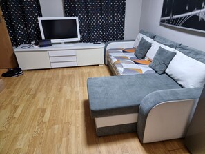 living room and sofa bed 