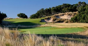 St Andrews Gold Course