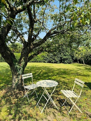 Tables et chaises en extérieur