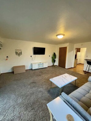 Living Room - Smart TV & Extra Bedding in Storage Container