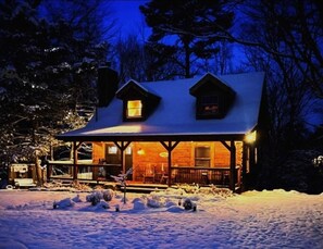 Snowy night - perfect fireplace weather.
