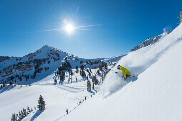 Snow and ski sports
