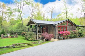 Driveway View