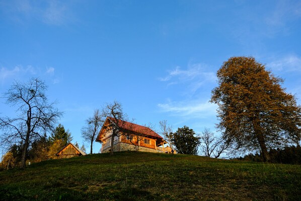 Udendørsområde