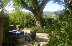 À l’ombre d’un arbre centenaire
