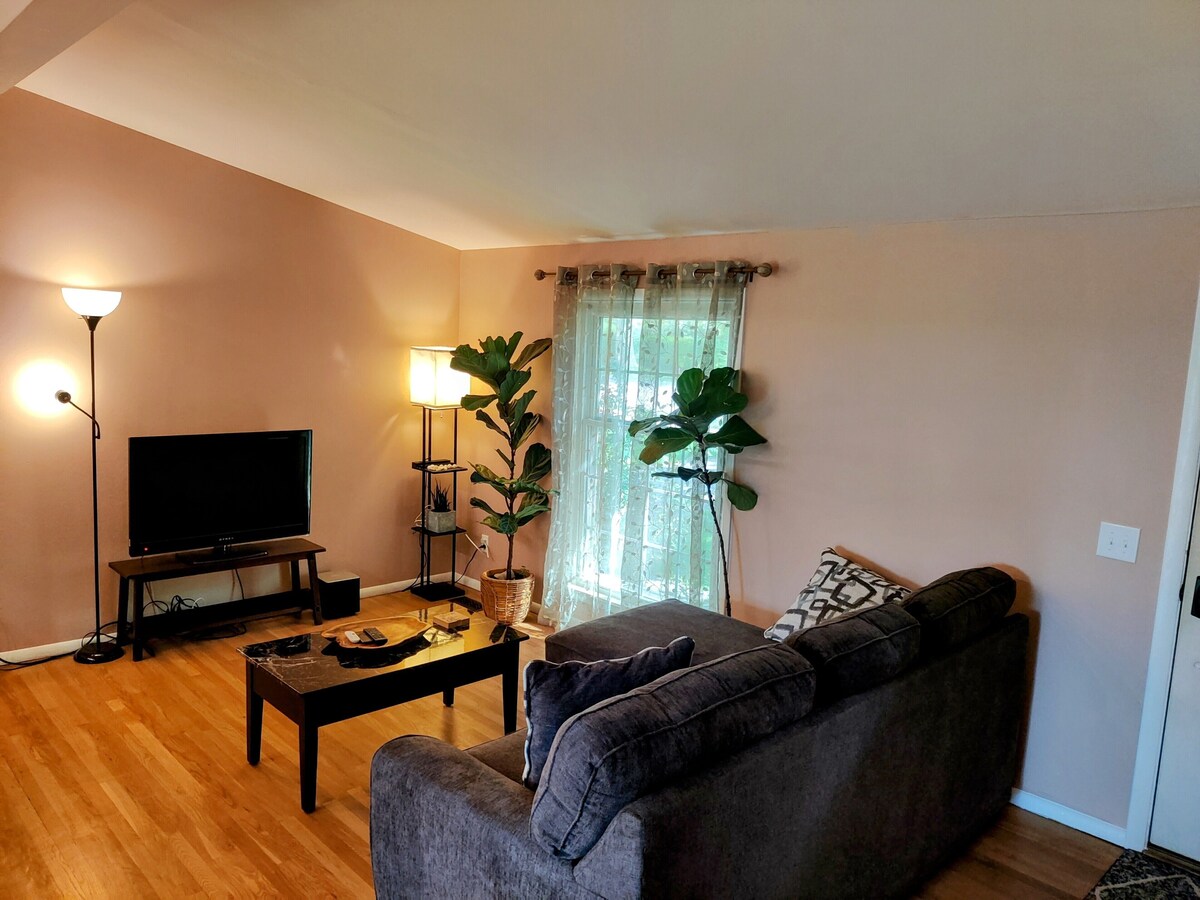 Cozy updated 3 Bedroom house in Ann Arbor, 1.5mi to downtown and the big house!