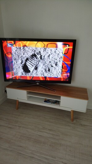 Television
