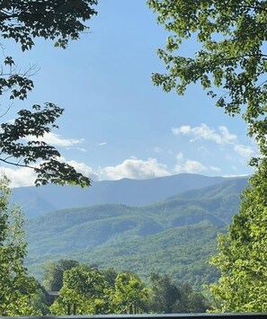 Vista desde la propiedad