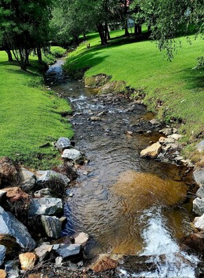 Coosa creek behind cabin.