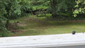 Picnic Table Creekside
