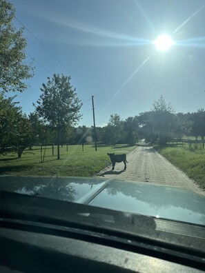 Main rural road to property