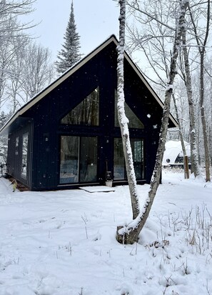 Back yard/south facing on 2 acres. 