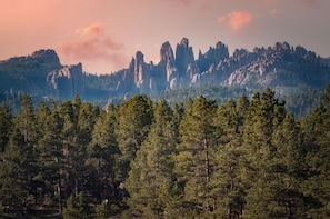 Views of the famous cathedral needle spires, directly from your backyard!